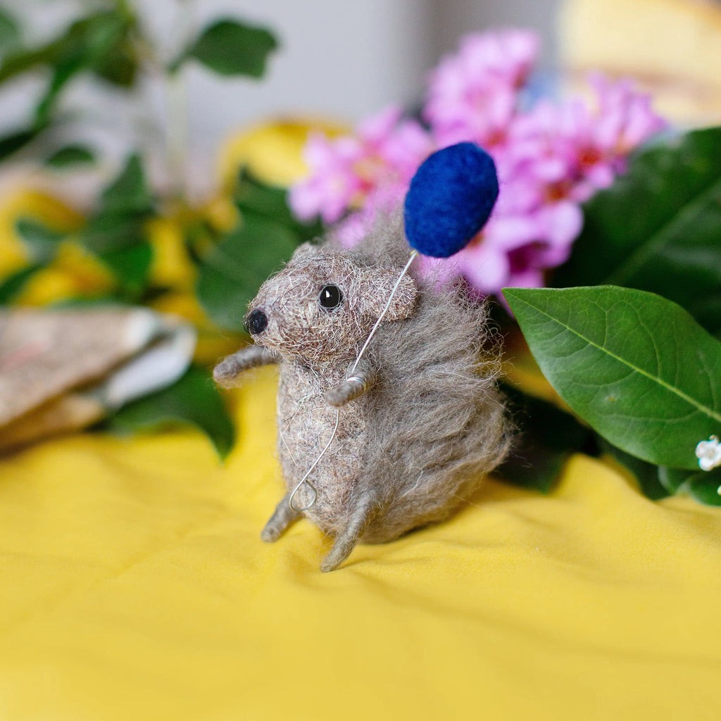 Baby Hedgehog