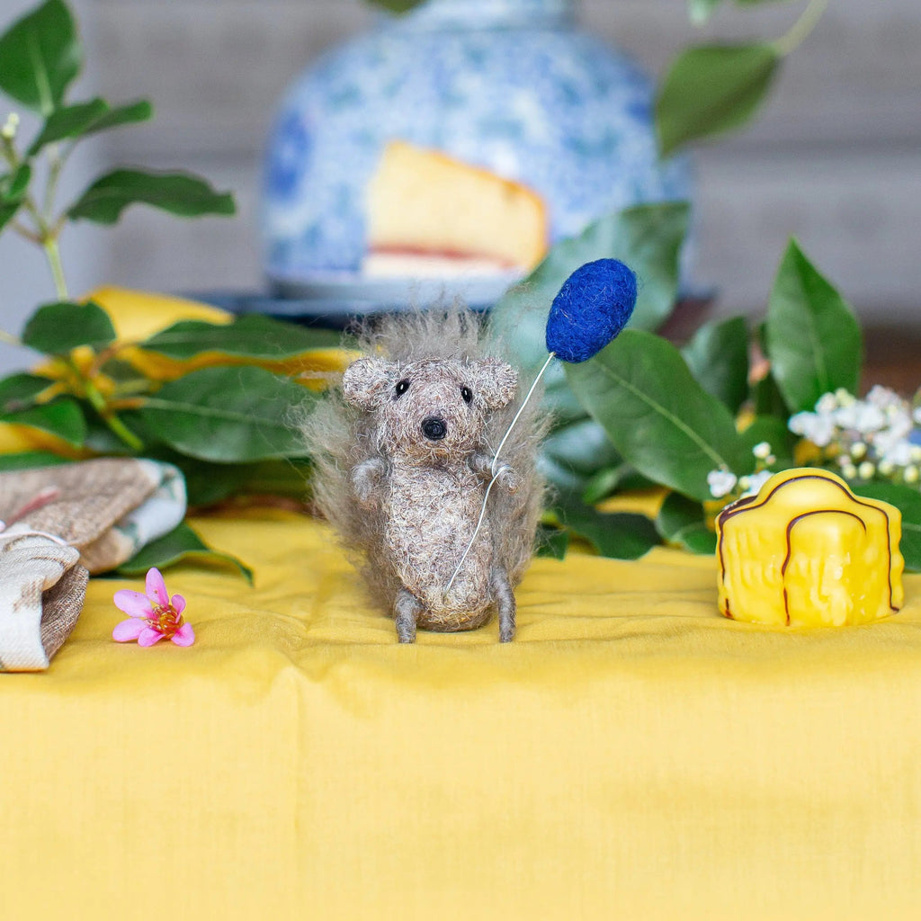 Baby Hedgehog