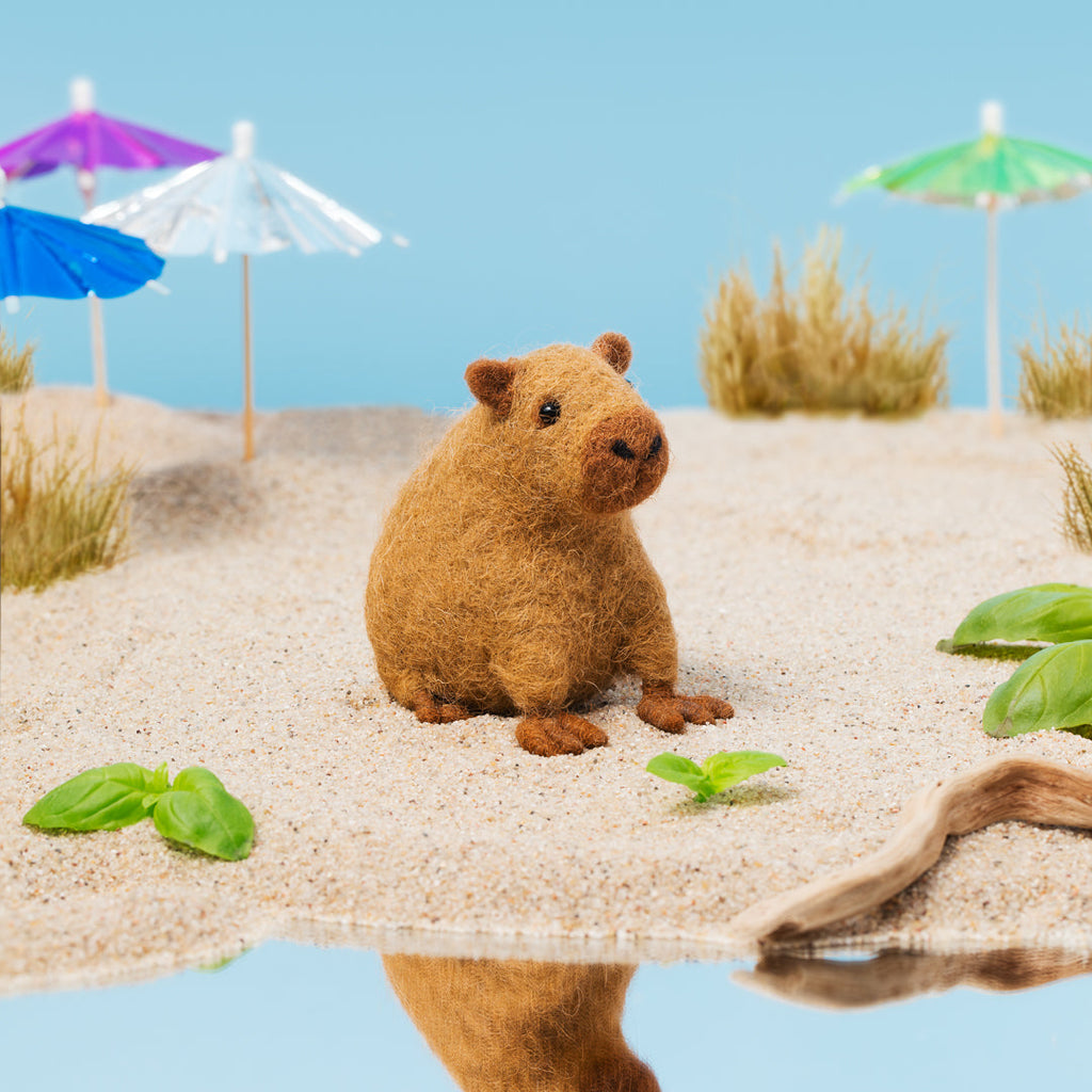 Carlos Capybara