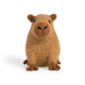 Carlos Capybara