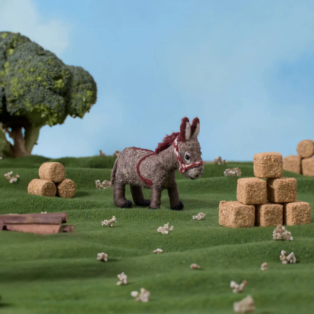Daisy Donkey