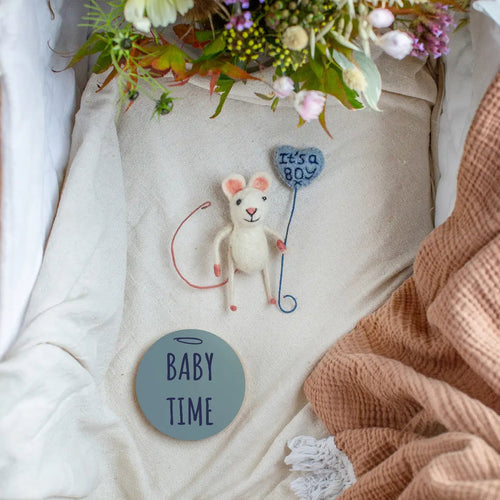 Baby Boy Mouse