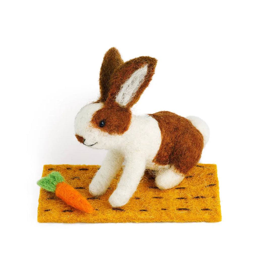 Lettuce Rabbit Carrot Nibbles