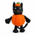 Pumpkin Cat
