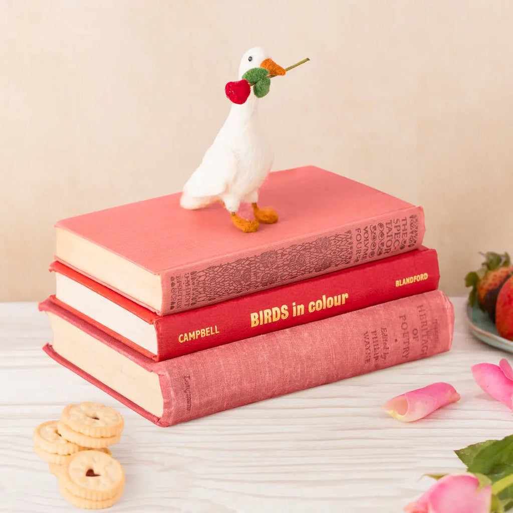 Romeo Rose Holding Duck