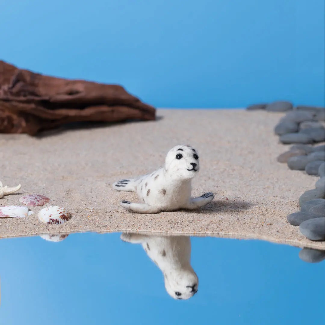 Sandy Seal