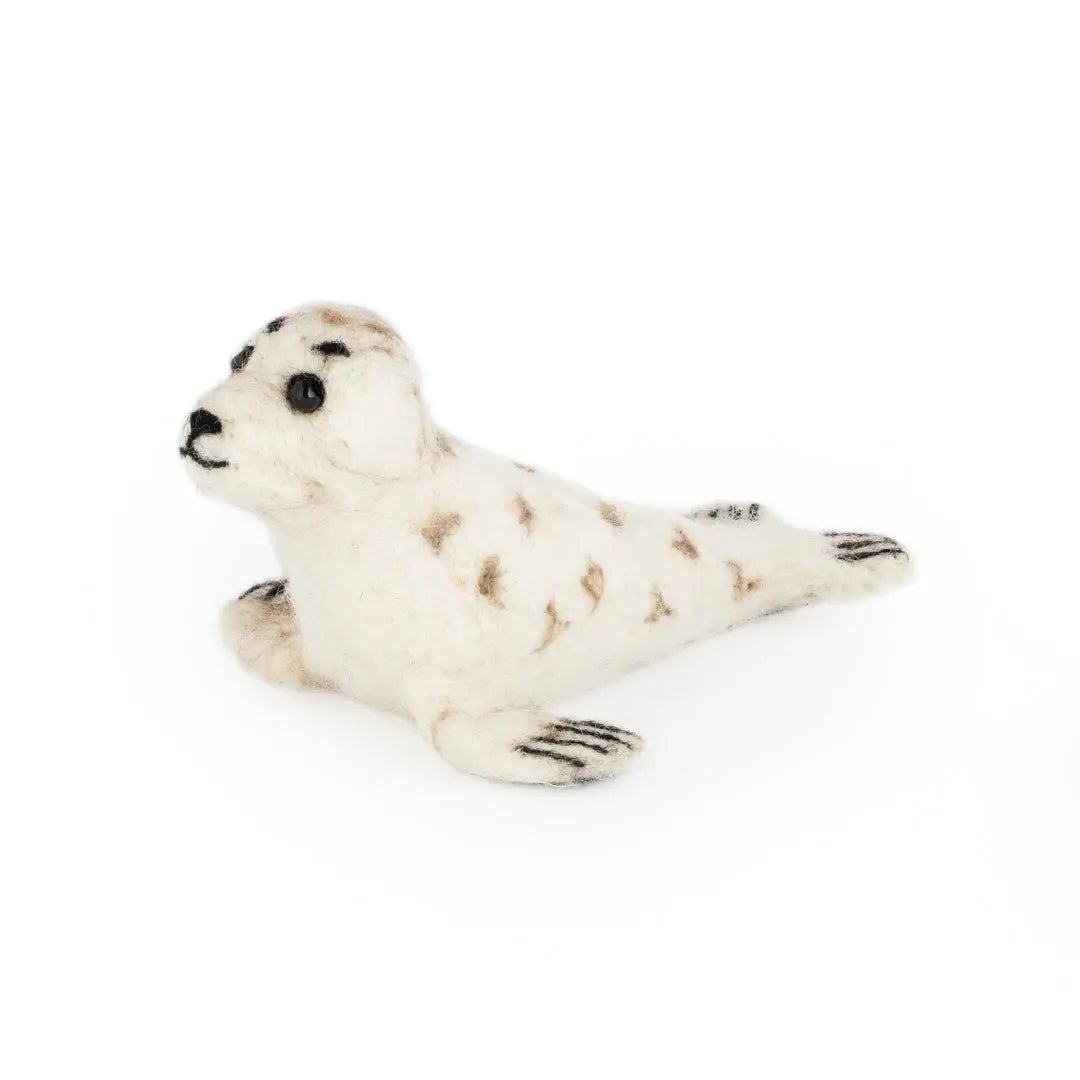 Sandy Seal