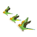 Green Budgie Trio