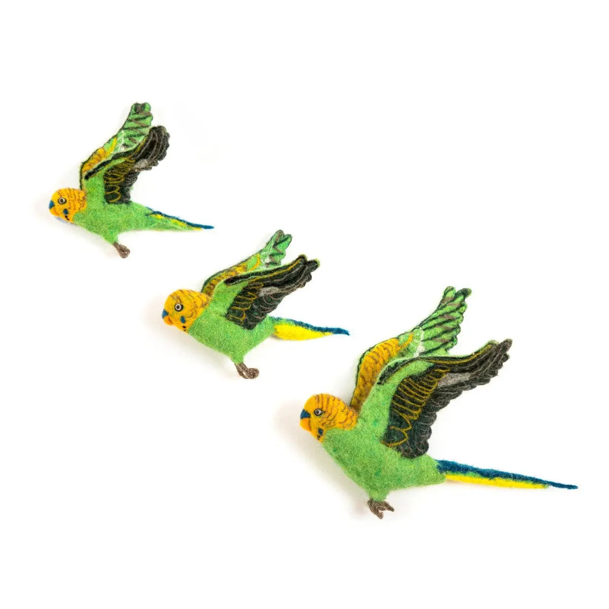 Green Budgie Trio