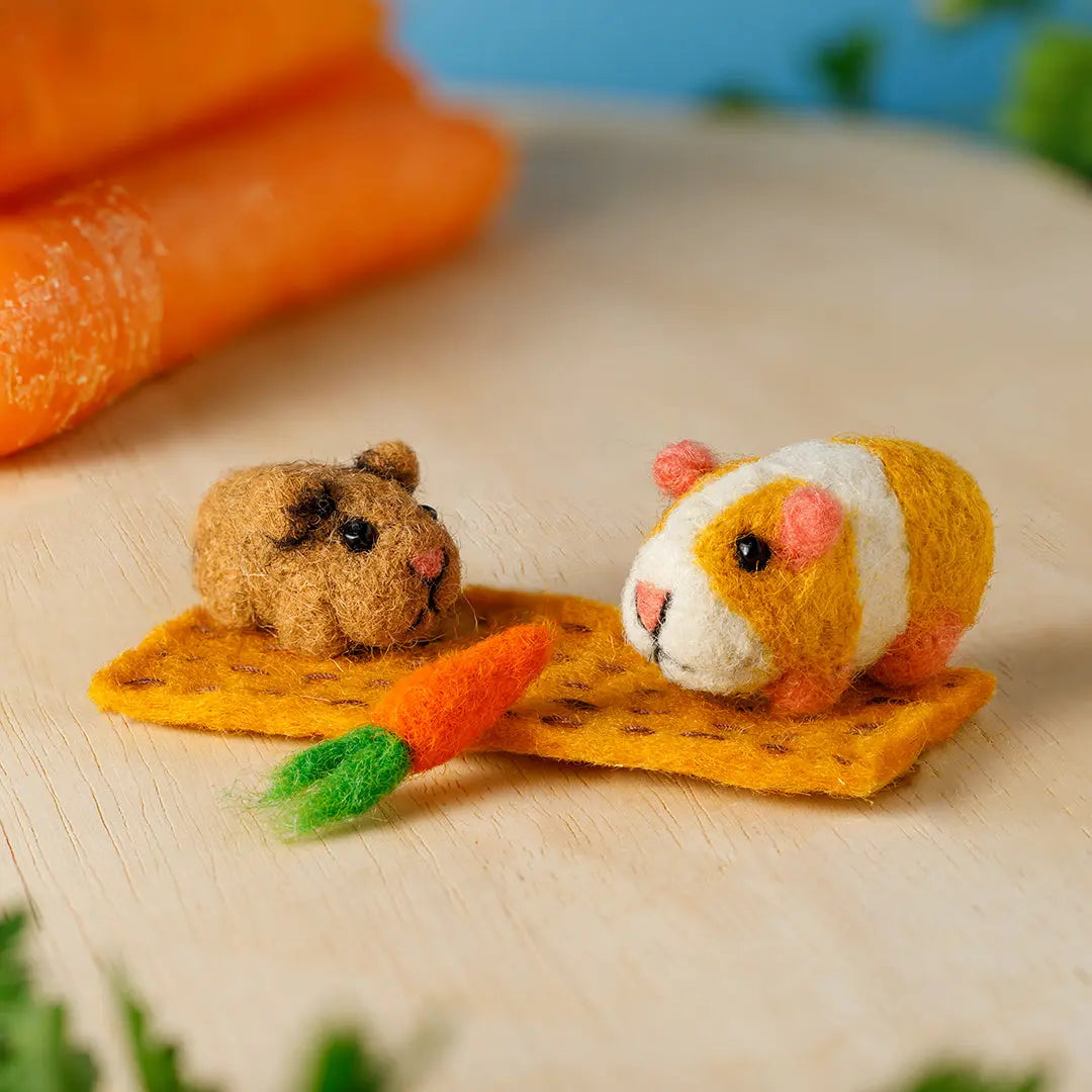 Ginger Guinea Pig Set