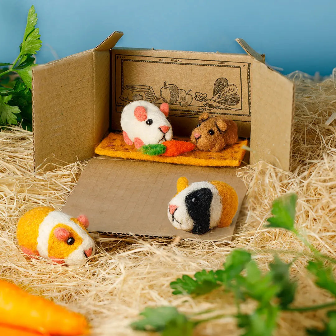 Ginger Guinea Pig Set