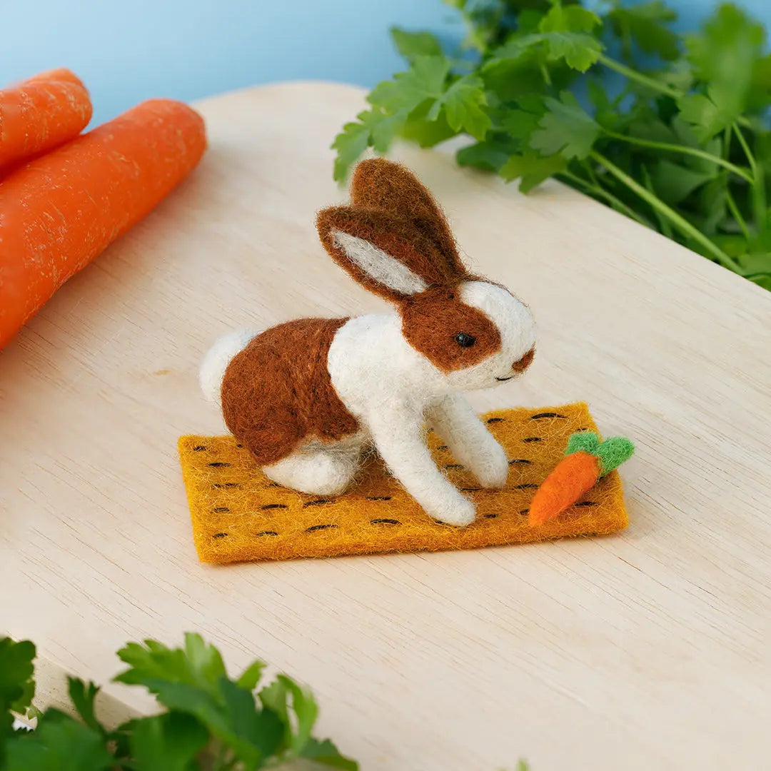 Lettuce Rabbit Carrot Nibbles