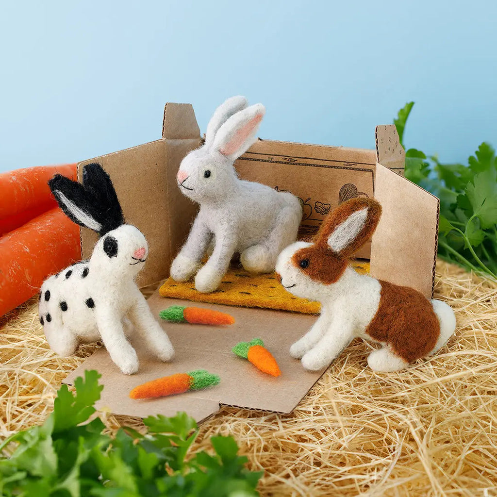 Lettuce Rabbit Carrot Nibbles